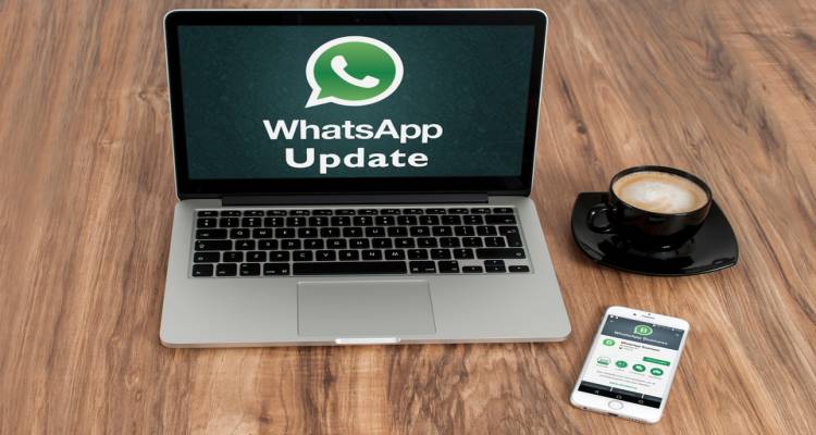 whatsapp business 2018 apk download