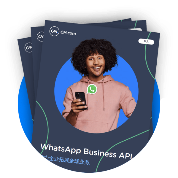 whatsapp business api guide